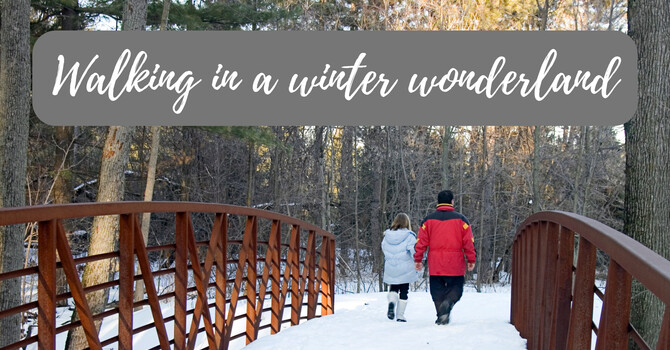 Tips For Making the Transition To Winter Walks image