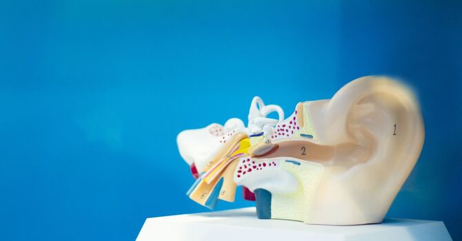 Balance and Dizziness (Vestibular) Physiotherapy